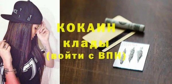 дживик Мегион