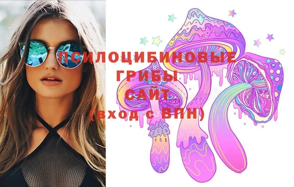 дживик Мегион
