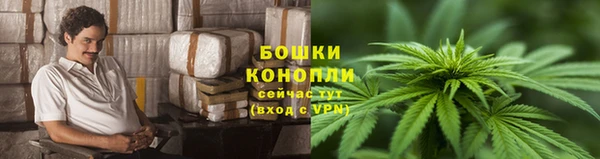 дживик Мегион