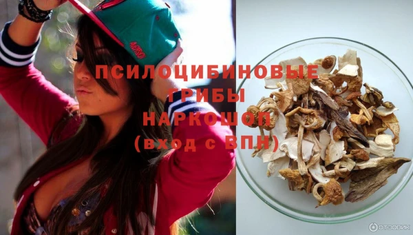 дживик Мегион