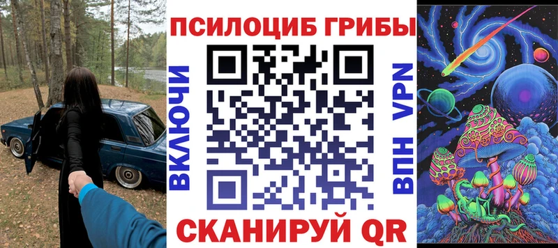 гидра зеркало купить закладку Чекалин сайты даркнета наркотические препараты Псилоцибиновые грибы мицелий